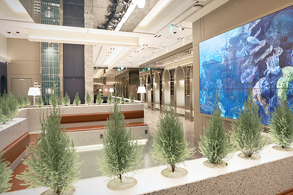 Центр пластической хирургии Элит