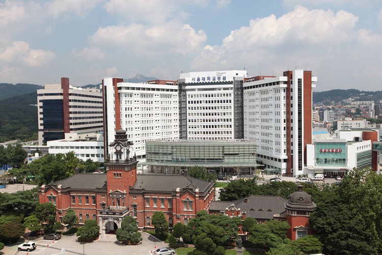 Госпиталь Seoul Novos Hospital