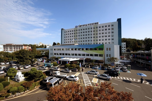 Больница святой Марии католического универстита